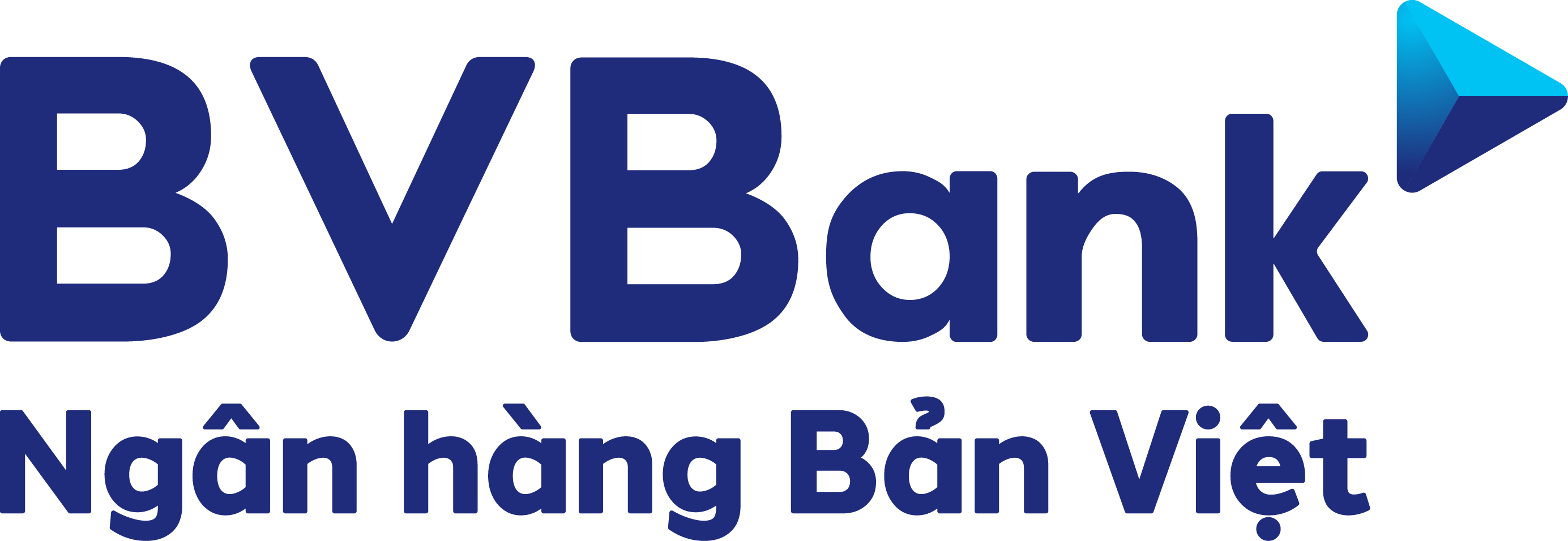 Logo Bvbank 01